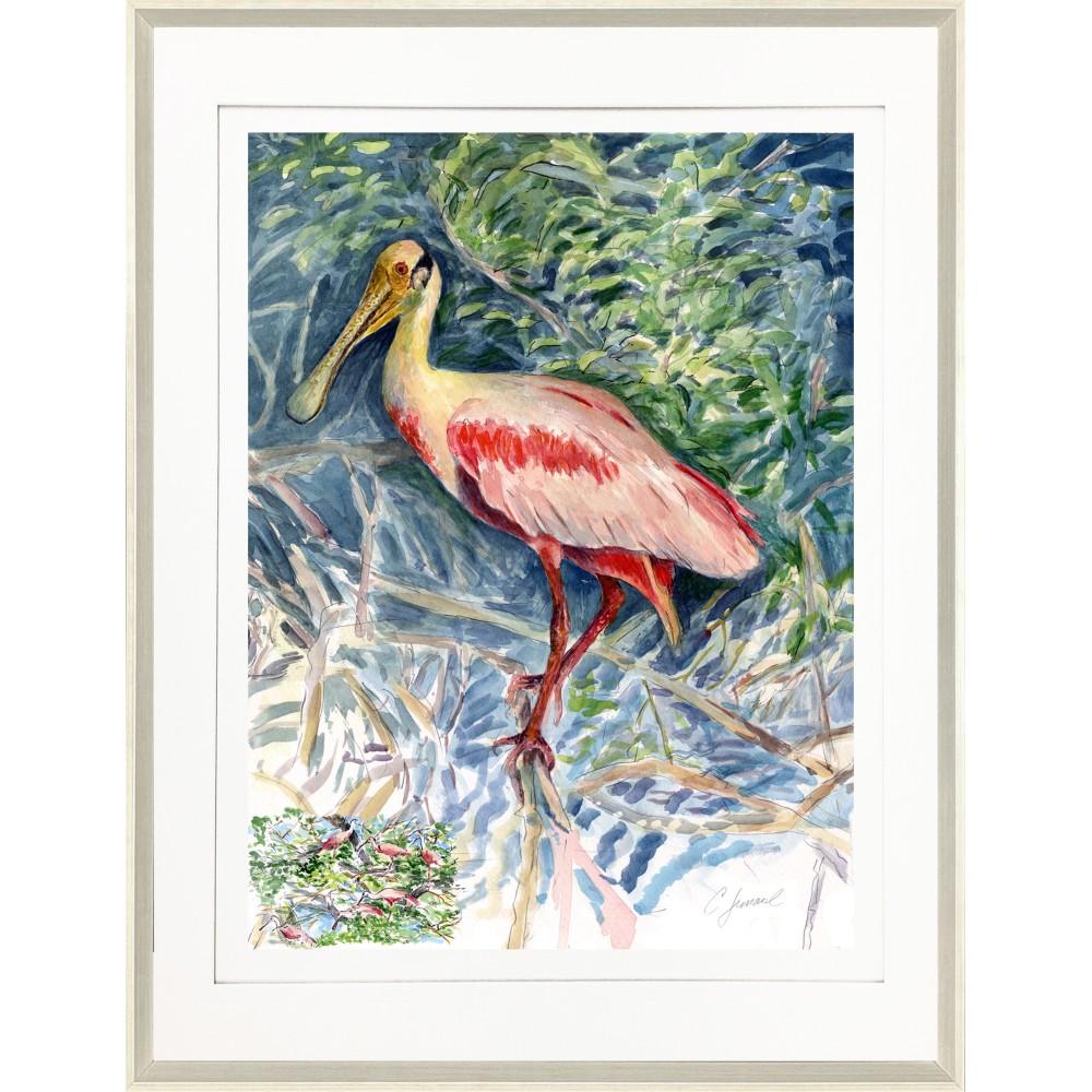 CL SPOONBILL 1 The Leonard Collection